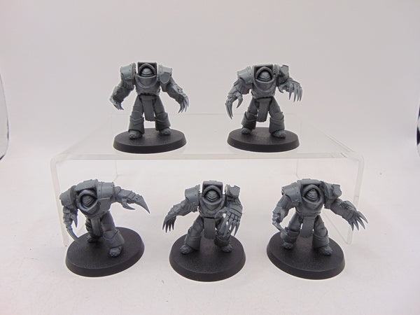 Cataphractii Terminator Squad