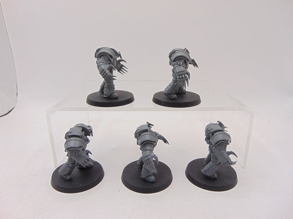 Cataphractii Terminator Squad