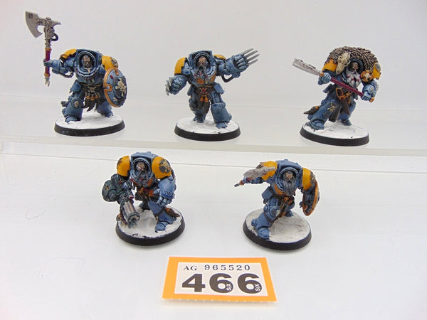 Wolf Guard Terminators