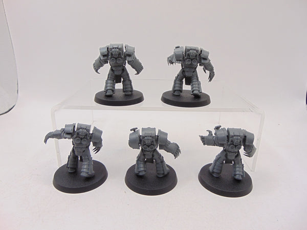 Cataphractii Terminator Squad