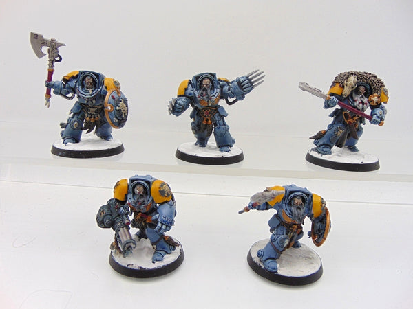 Wolf Guard Terminators