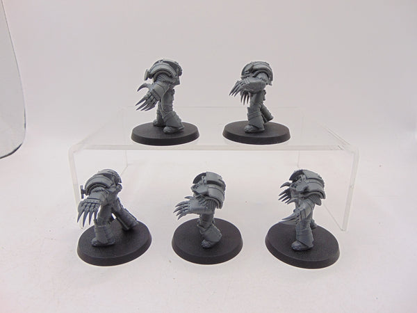 Cataphractii Terminator Squad