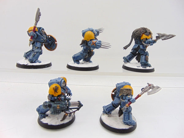 Wolf Guard Terminators