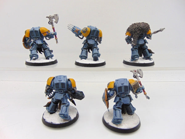 Wolf Guard Terminators