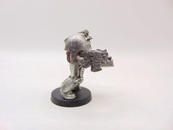 Terminator Librarian