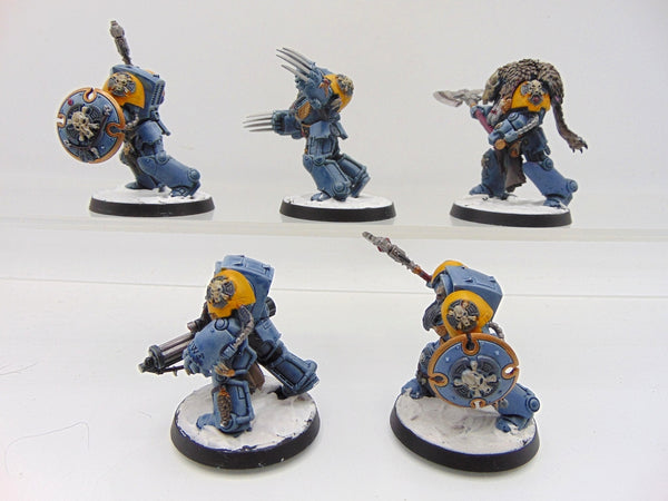 Wolf Guard Terminators