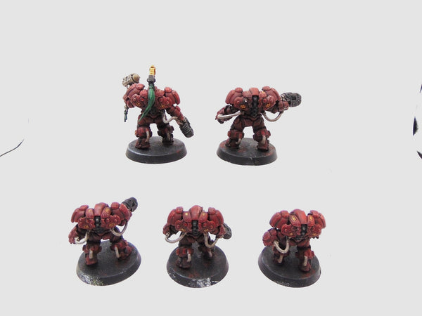 Einhyr Hearthguard
