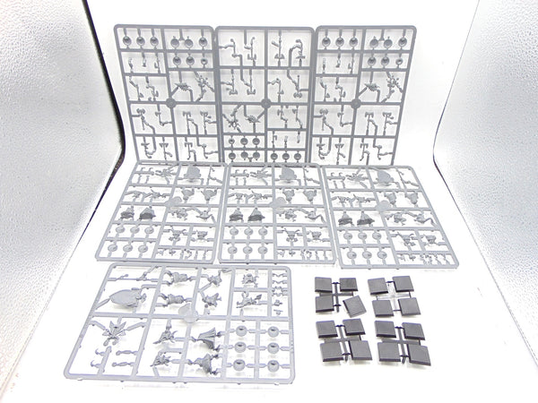 Dwarf Warriors
