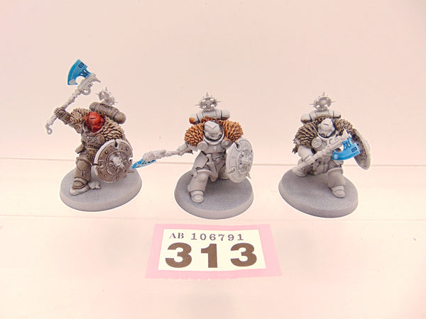Wolf Guard Headtakers