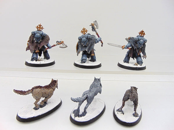 Wolf Guard Headtakers