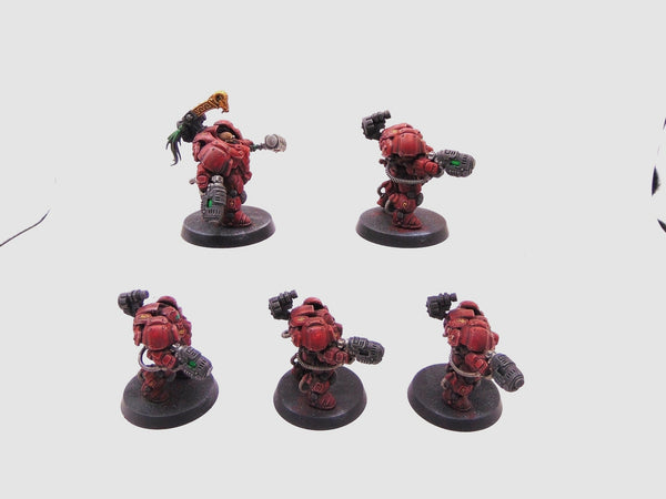 Einhyr Hearthguard