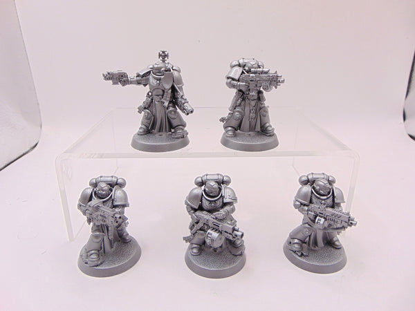 Sternguard Veterans