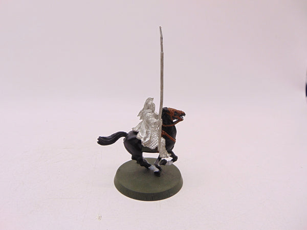 Rohan Royal Guard / Knight
