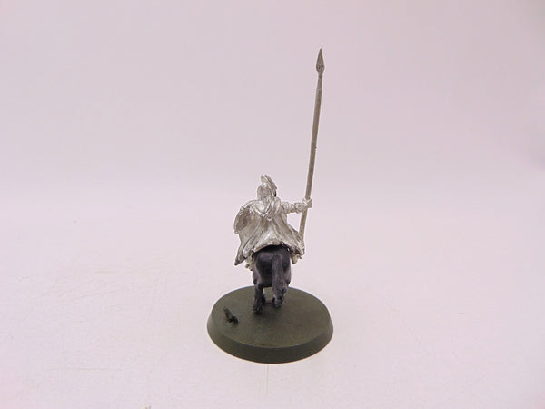Rohan Royal Guard / Knight