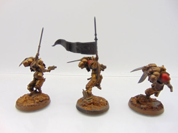 Sanguinary Guard