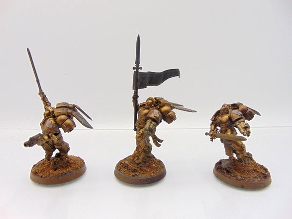 Sanguinary Guard