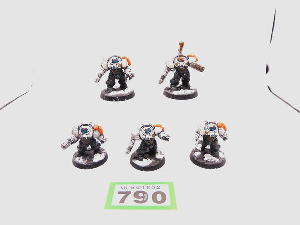 Einhyr Hearthguard