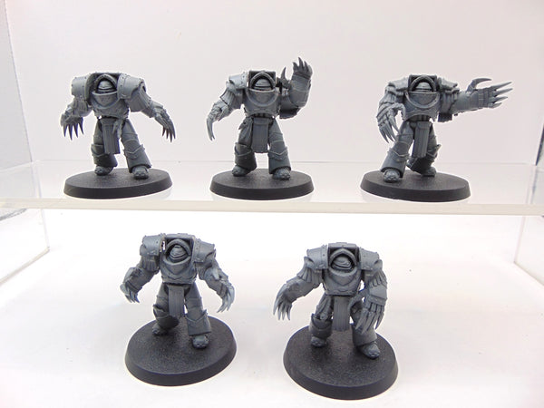 Cataphractii Terminator Squad