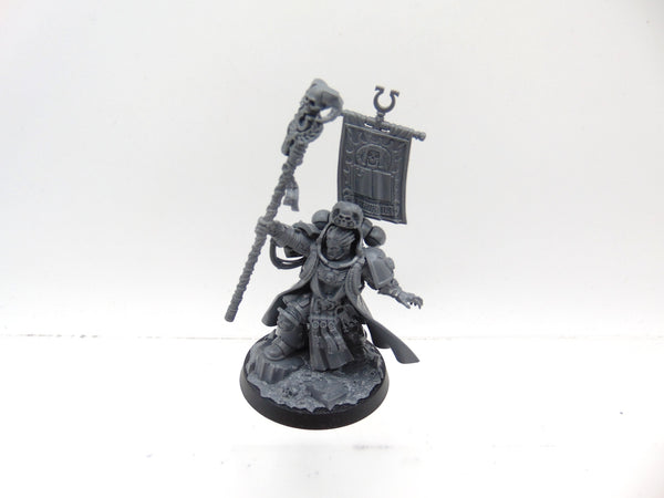 Chief Librarian Tigurius