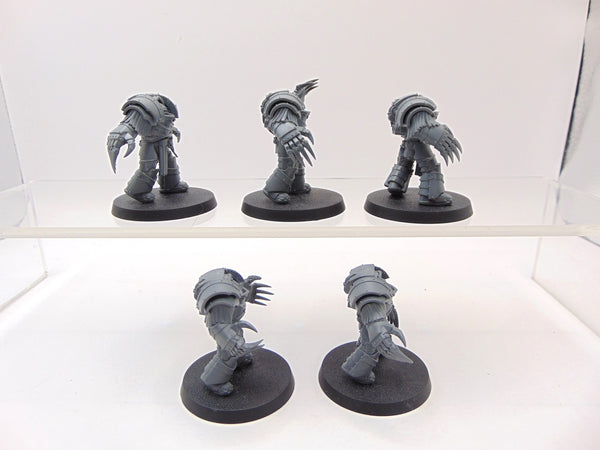 Cataphractii Terminator Squad