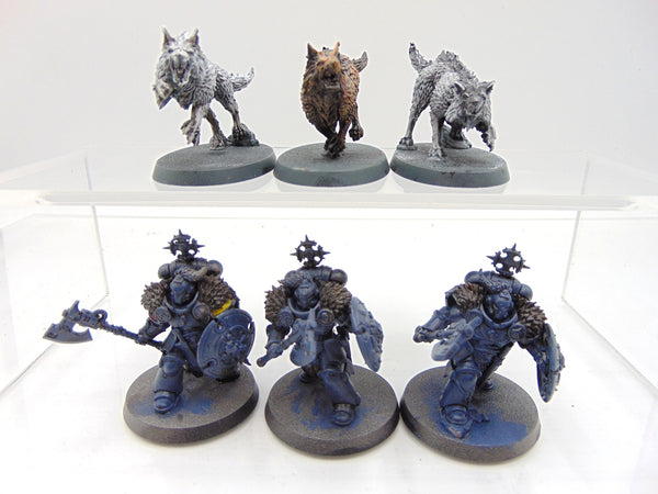 Wolf Guard Headtakers