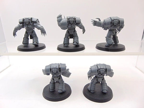 Cataphractii Terminator Squad