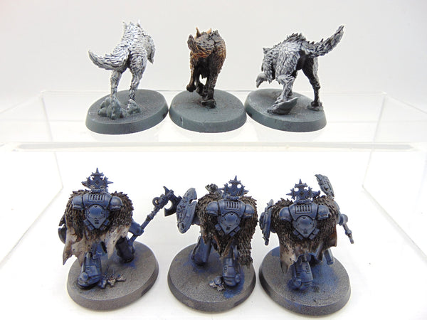 Wolf Guard Headtakers