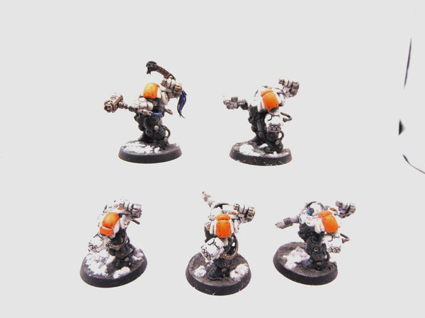 Einhyr Hearthguard
