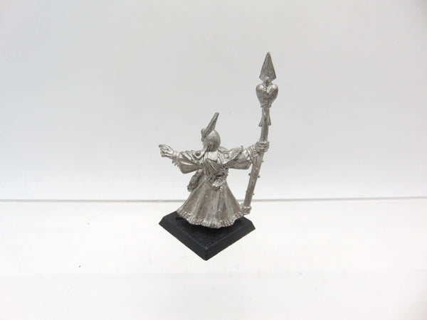 Dark Elf Sorcerer