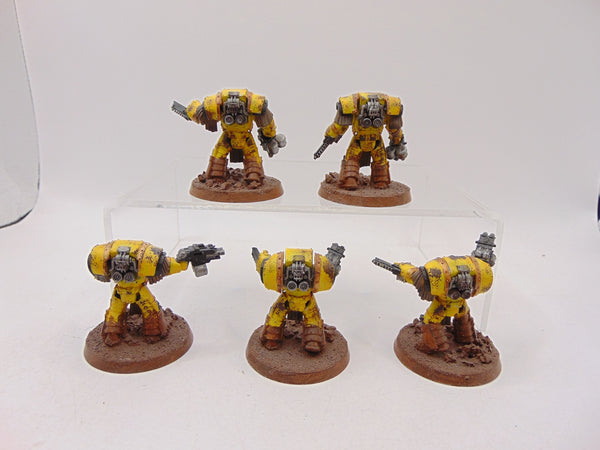 Cataphractii Terminator Squad