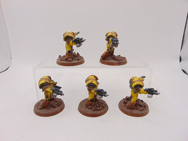 Cataphractii Terminator Squad