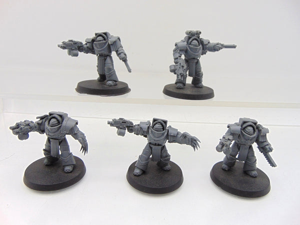 Cataphractii Terminator Squad