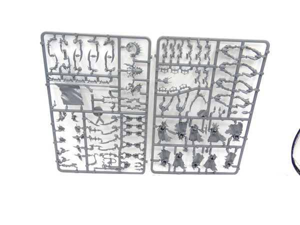 Black Ark Corsairs