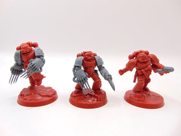 Assault Marines