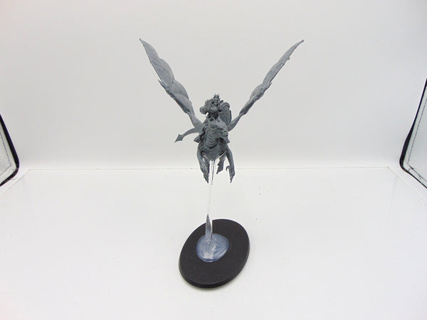 Stormdrake Guard