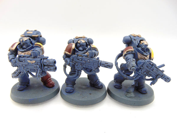 Eradicators