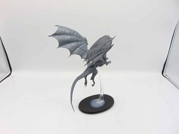 Stormdrake Guard