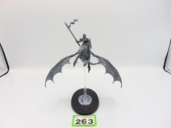 Stormdrake Guard