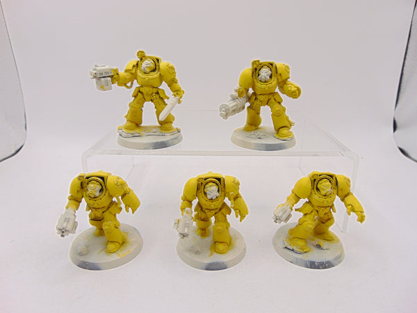 Terminator Squad