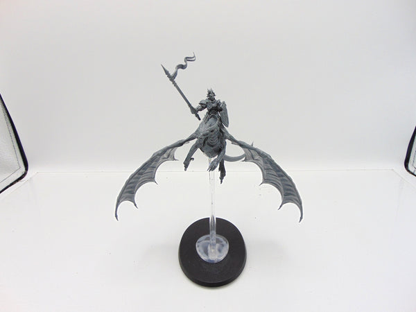 Stormdrake Guard