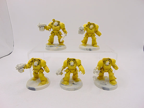 Terminator Squad