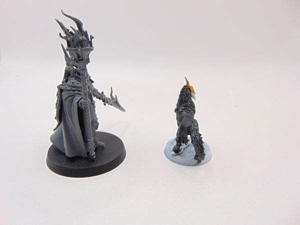 Lord-Veritant with Gryph-crow