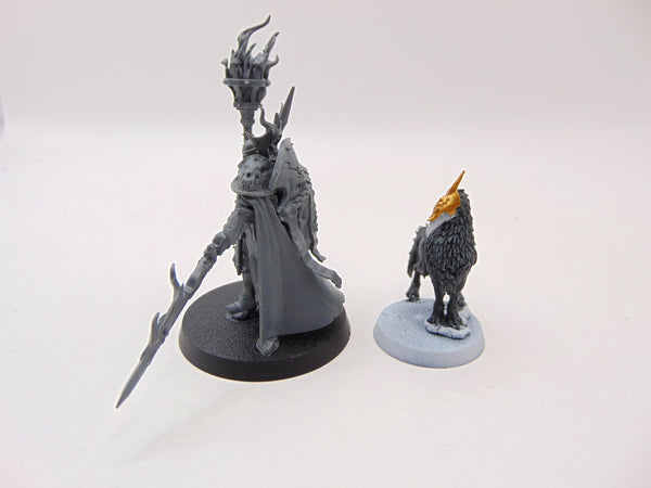 Lord-Veritant with Gryph-crow