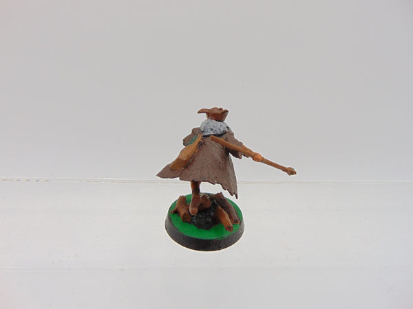 Radagast the Brown