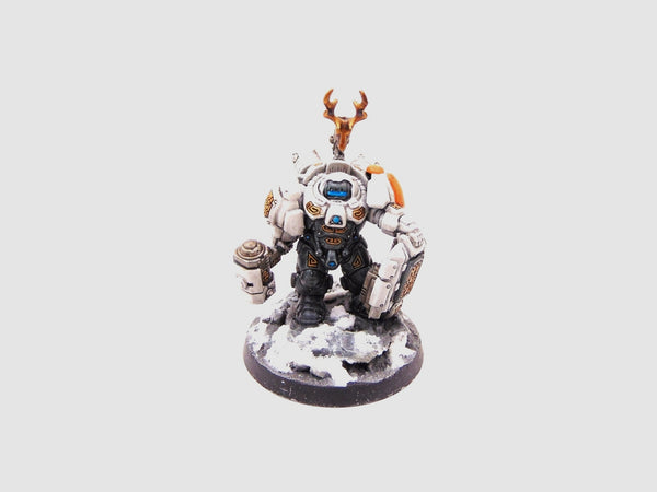 Einhyr Champion (The Ancestors' Wrath)