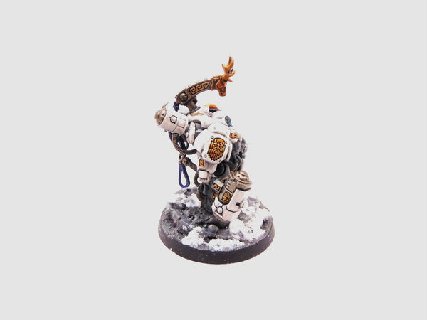 Einhyr Champion (The Ancestors' Wrath)