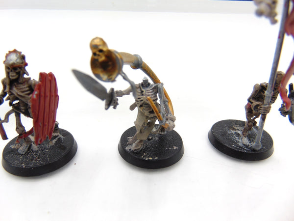 Skeleton Warriors