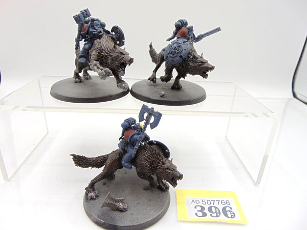Thunderwolf Cavalry