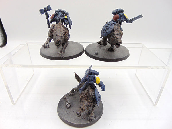 Thunderwolf Cavalry