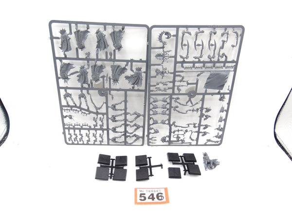 Black Ark Corsairs